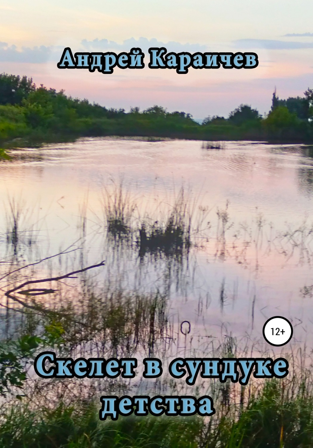 Обложка книги «Скелет в сундуке детства»