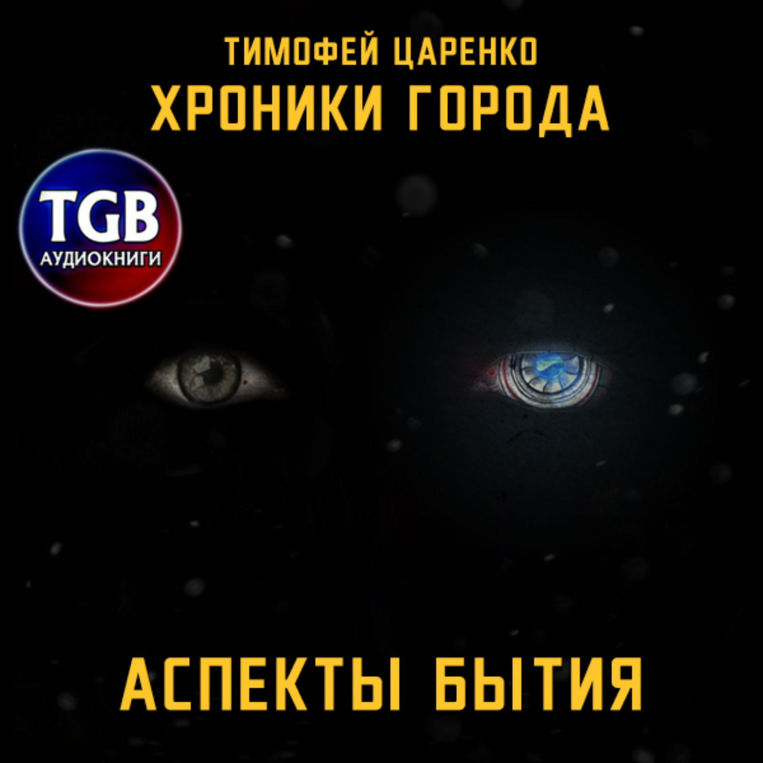 Обложка книги «Хроники города. Аспекты бытия»