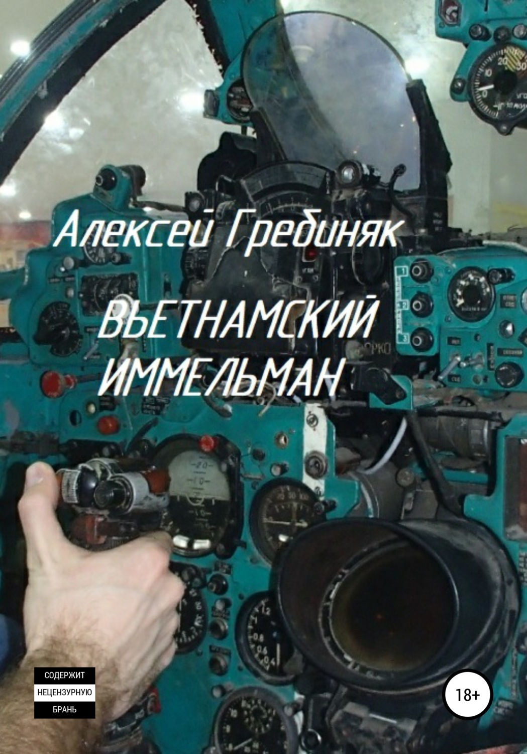 Обложка книги «Вьетнамский иммельман»