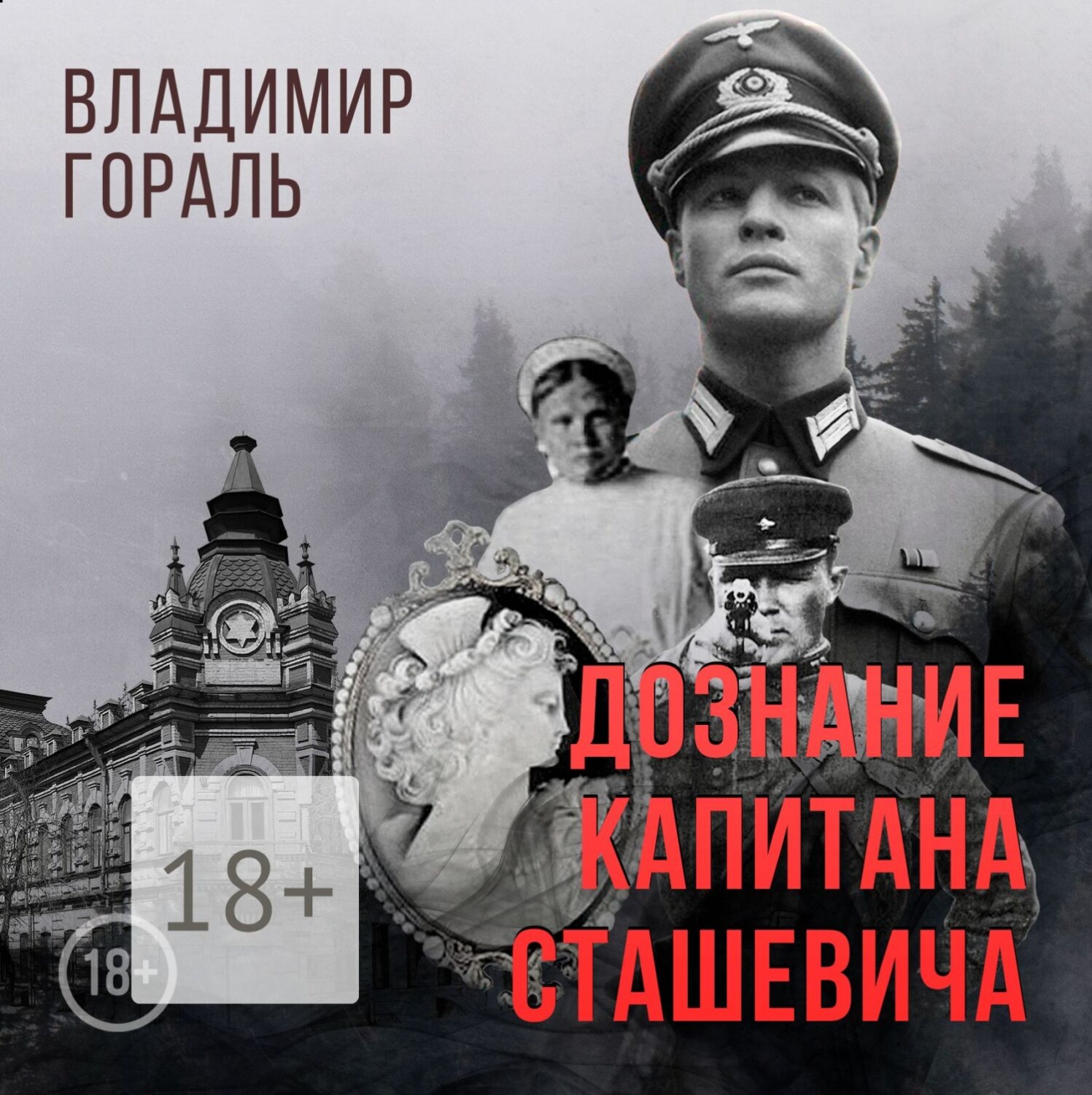 Обложка книги «Дознание капитана Сташевича»