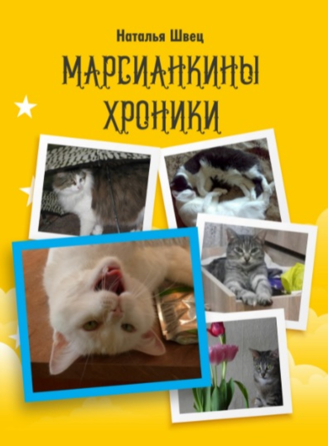 Обложка книги «Марсианкины хроники»