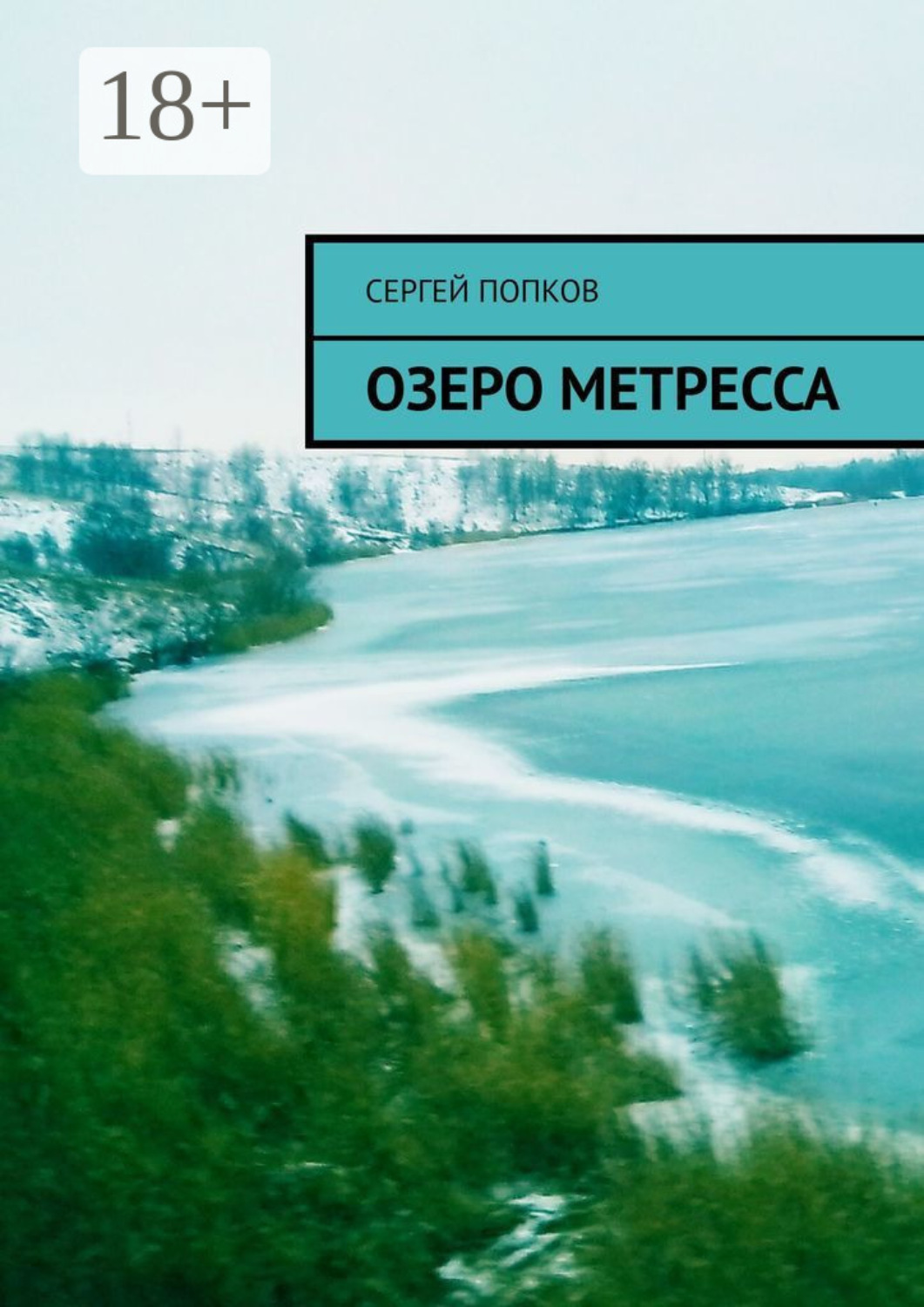 Обложка книги «Озеро Метресса»