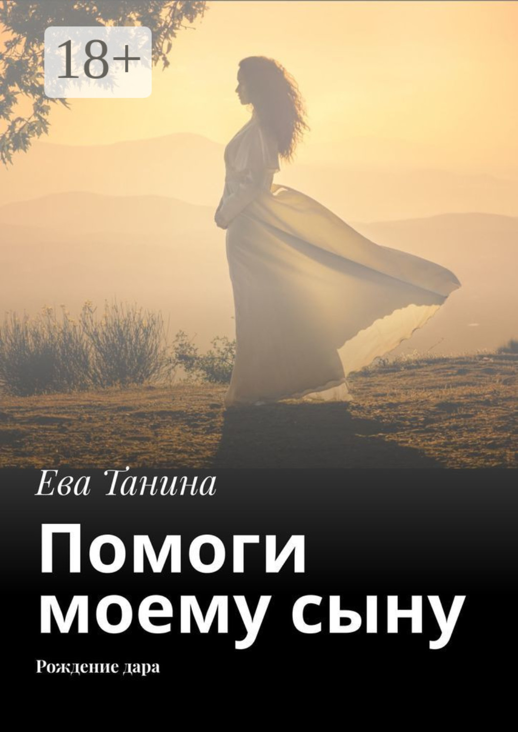Обложка книги «Помоги моему сыну. Рождение дара»