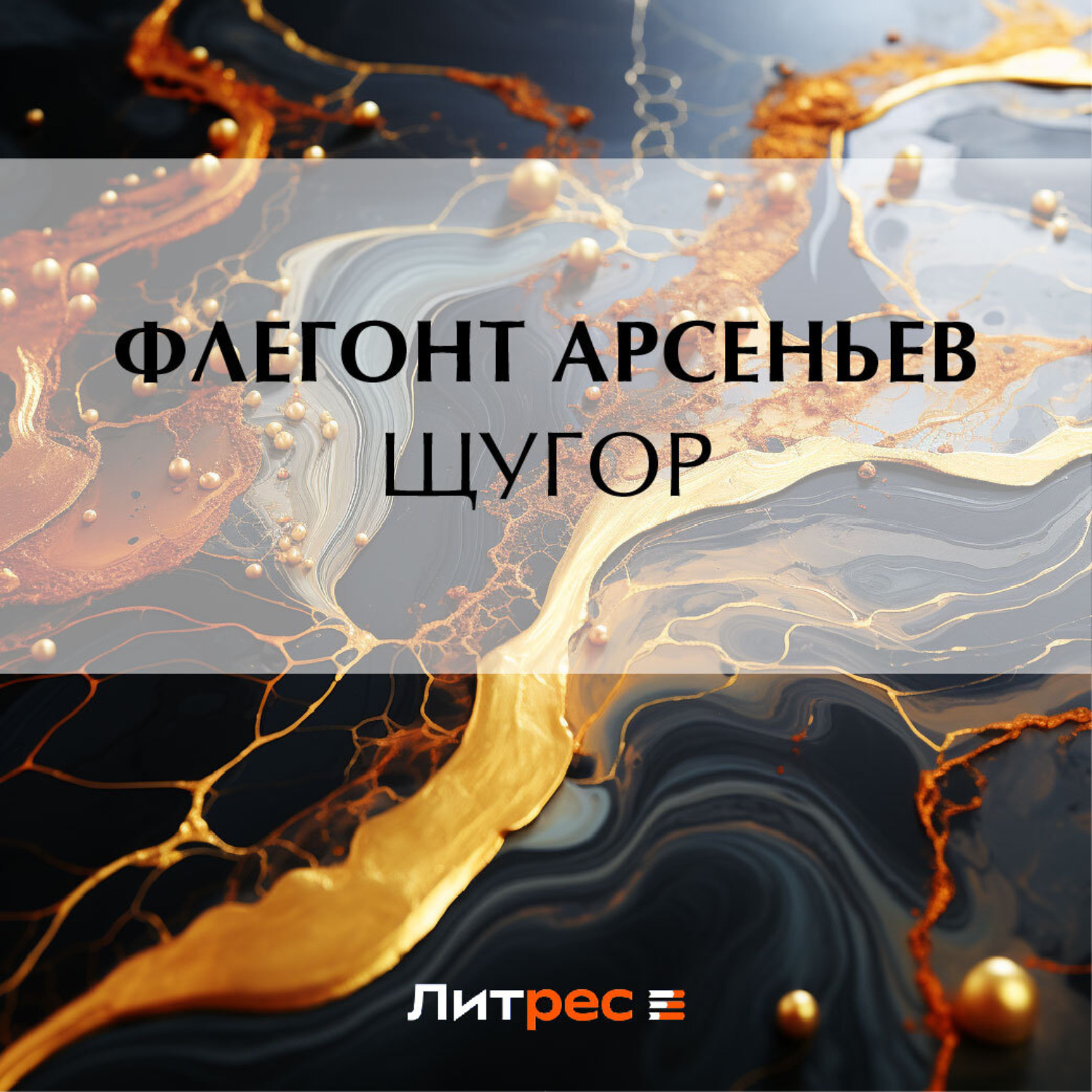Обложка книги «Щугор»