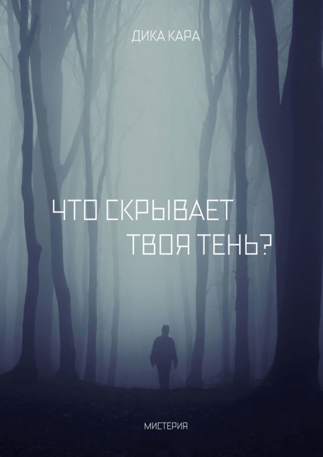 Обложка книги «Что скрывает твоя тень?»
