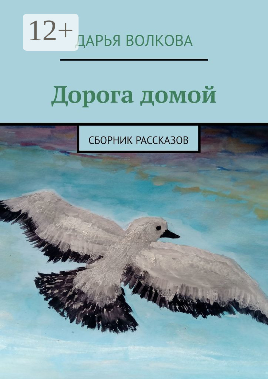Обложка книги «Дорога домой. Сборник рассказов»