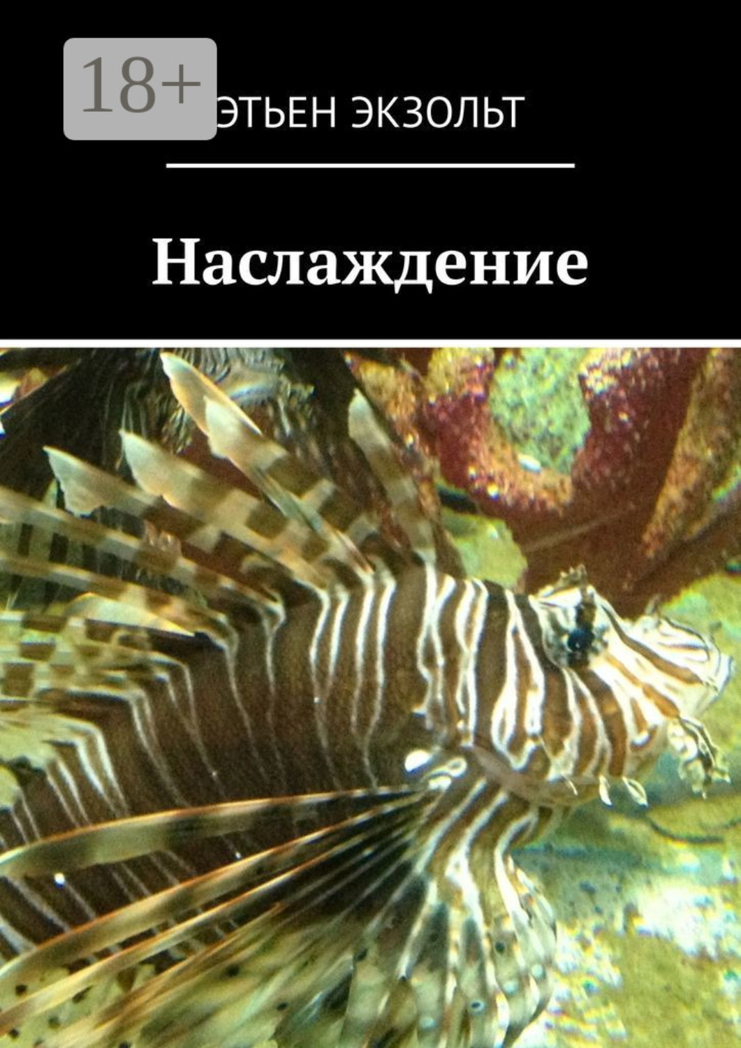 Обложка книги «Наслаждение»