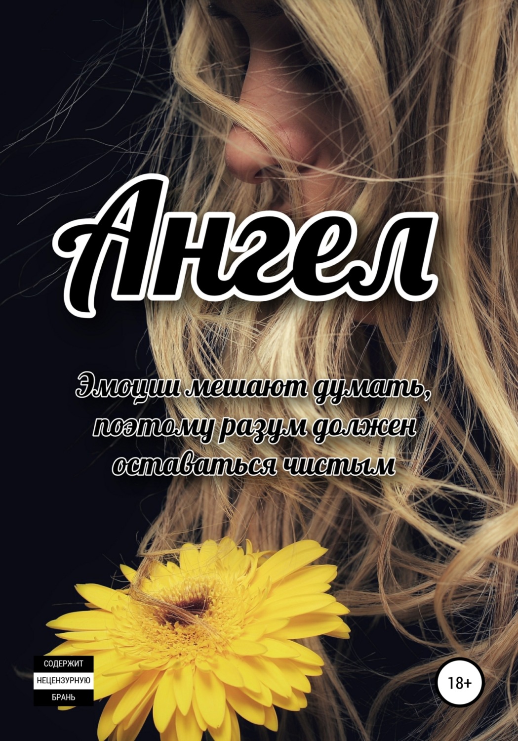 Обложка книги «Ангел»