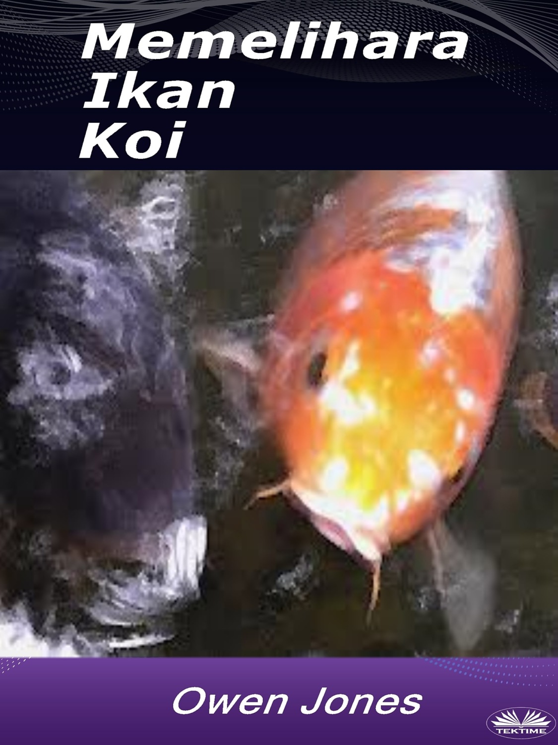 Обложка книги «Memelihara Ikan Koi»