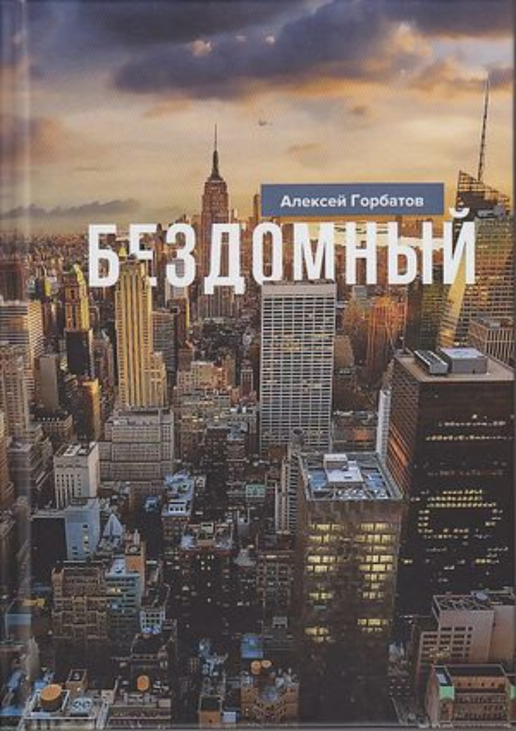 Обложка книги «Бездомный»