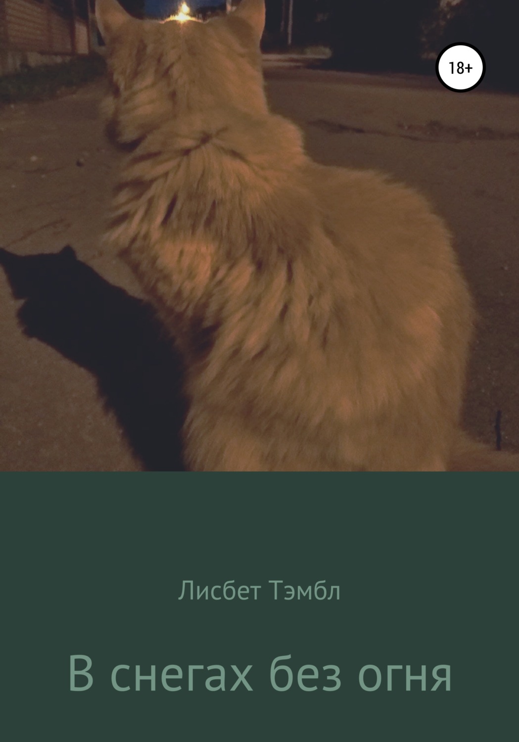 Обложка книги «В снегах без огня»