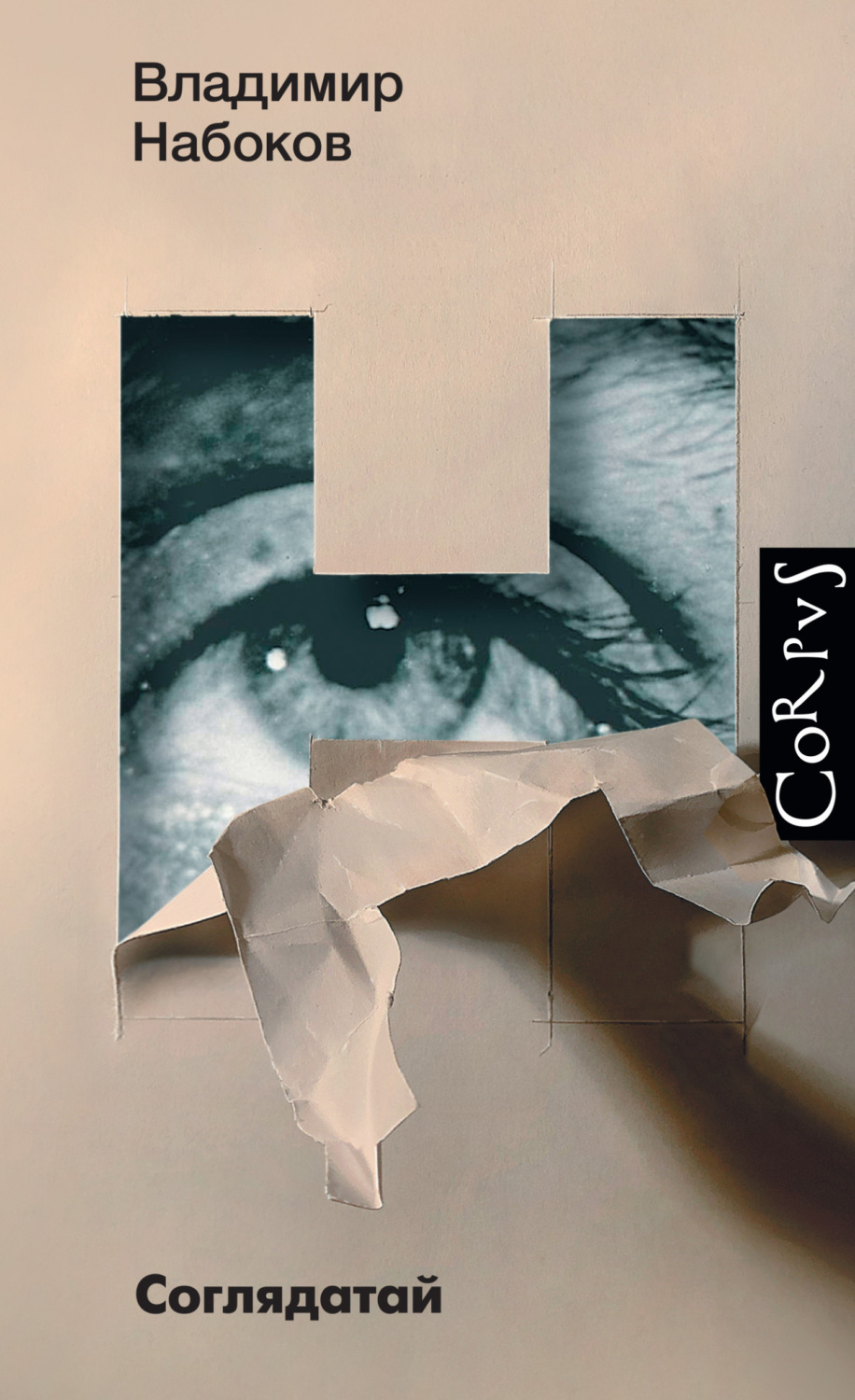 Обложка книги «Соглядатай»