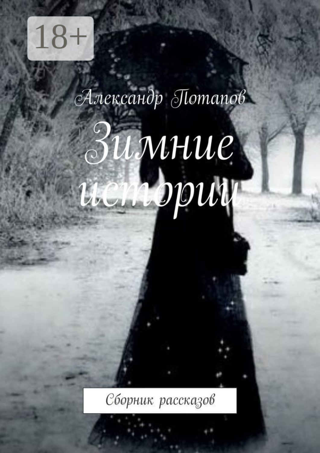 Обложка книги «Зимние истории. Сборник рассказов»
