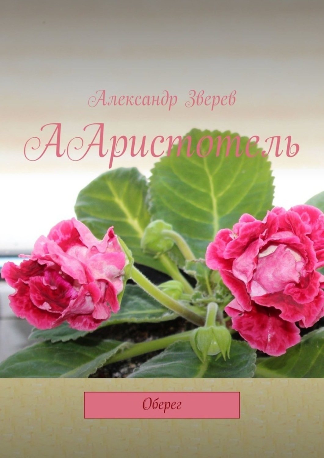 Обложка книги «ААристотель. Оберег»