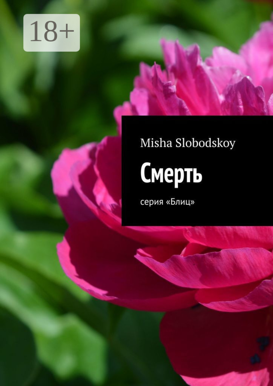 Обложка книги «Смерть. Серия «Блиц»»