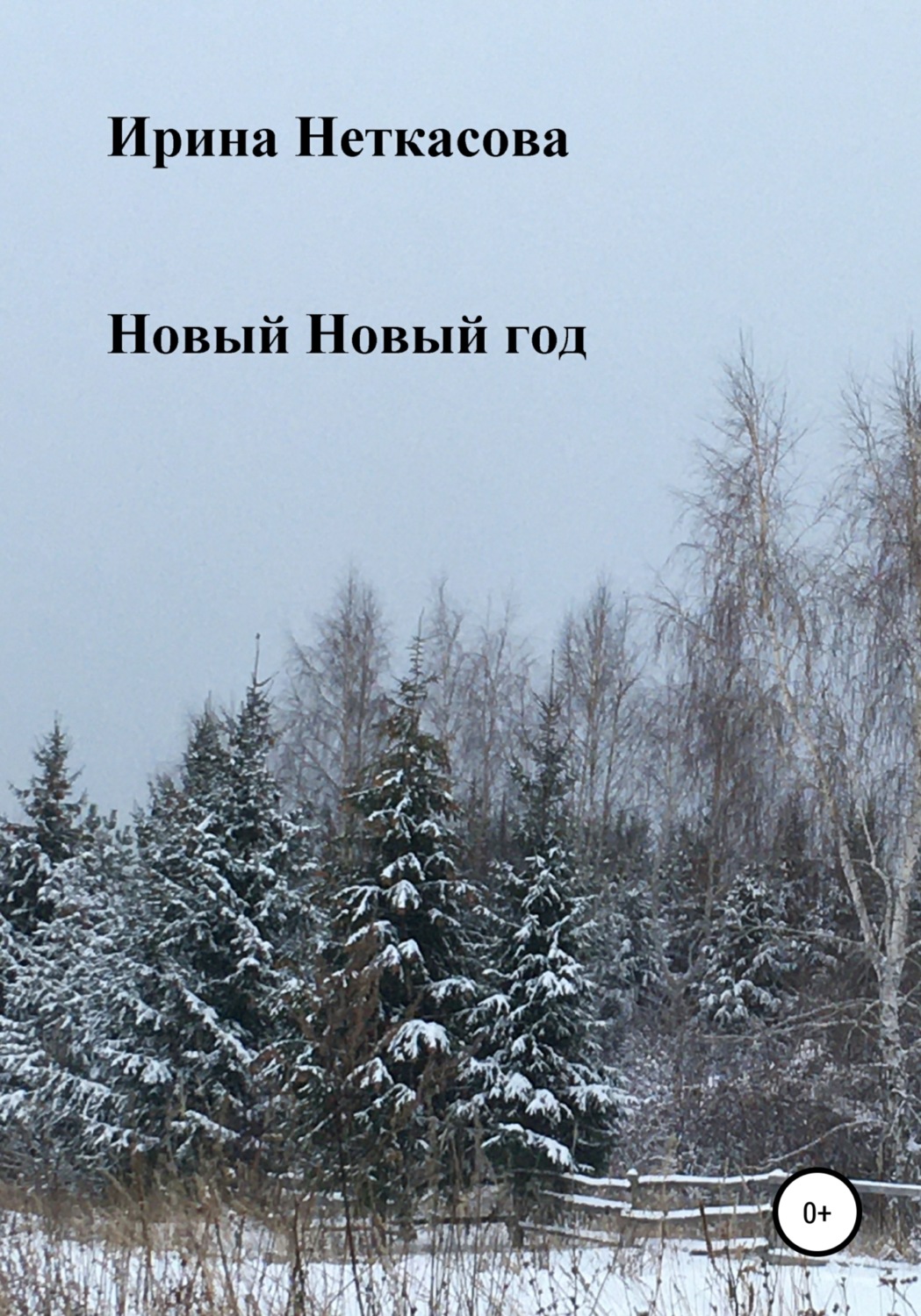 Обложка книги «Новый Новый год»