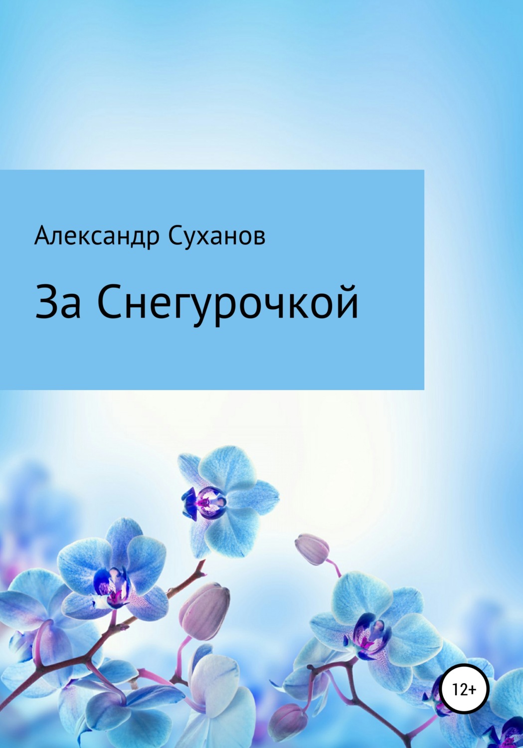 Обложка книги «За Снегурочкой»