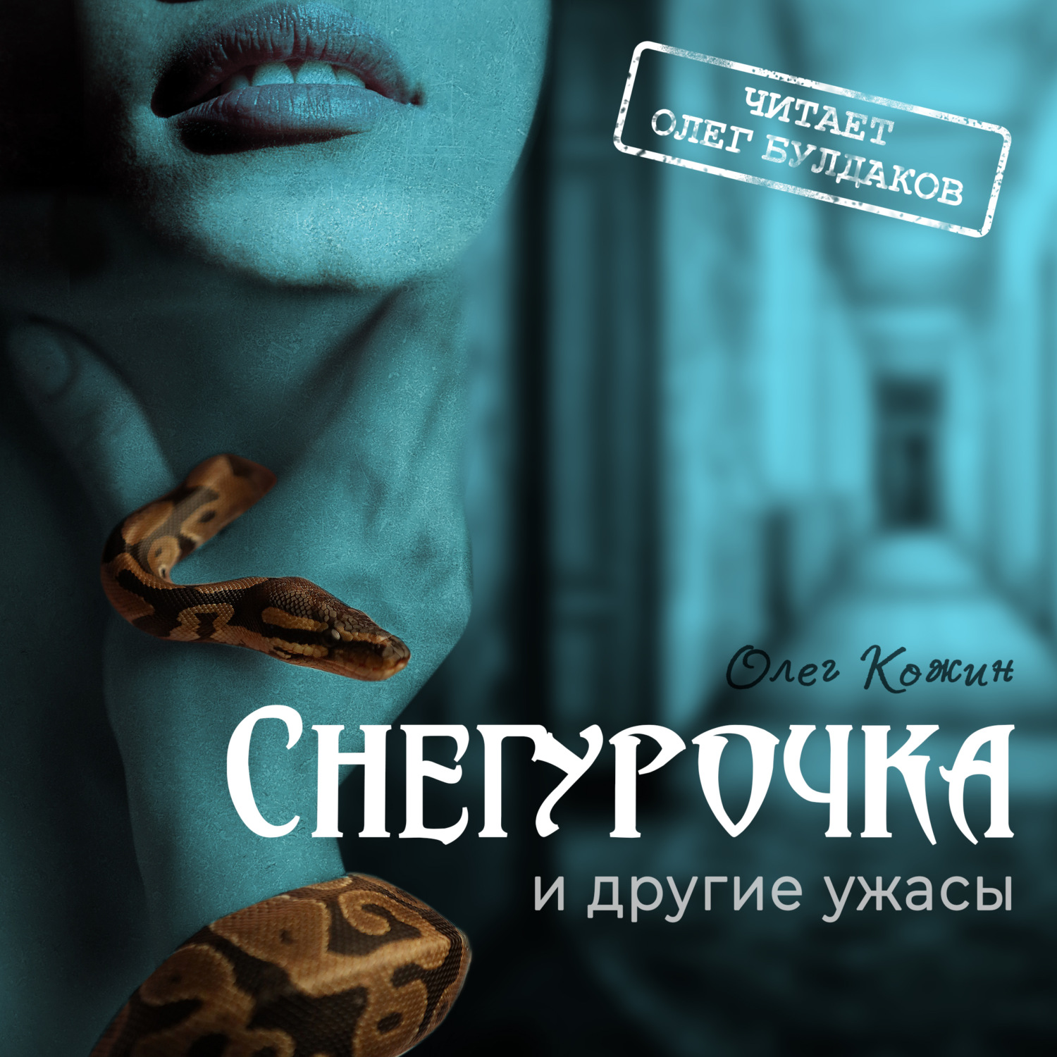 Обложка книги «Снегурочка и другие ужасы»