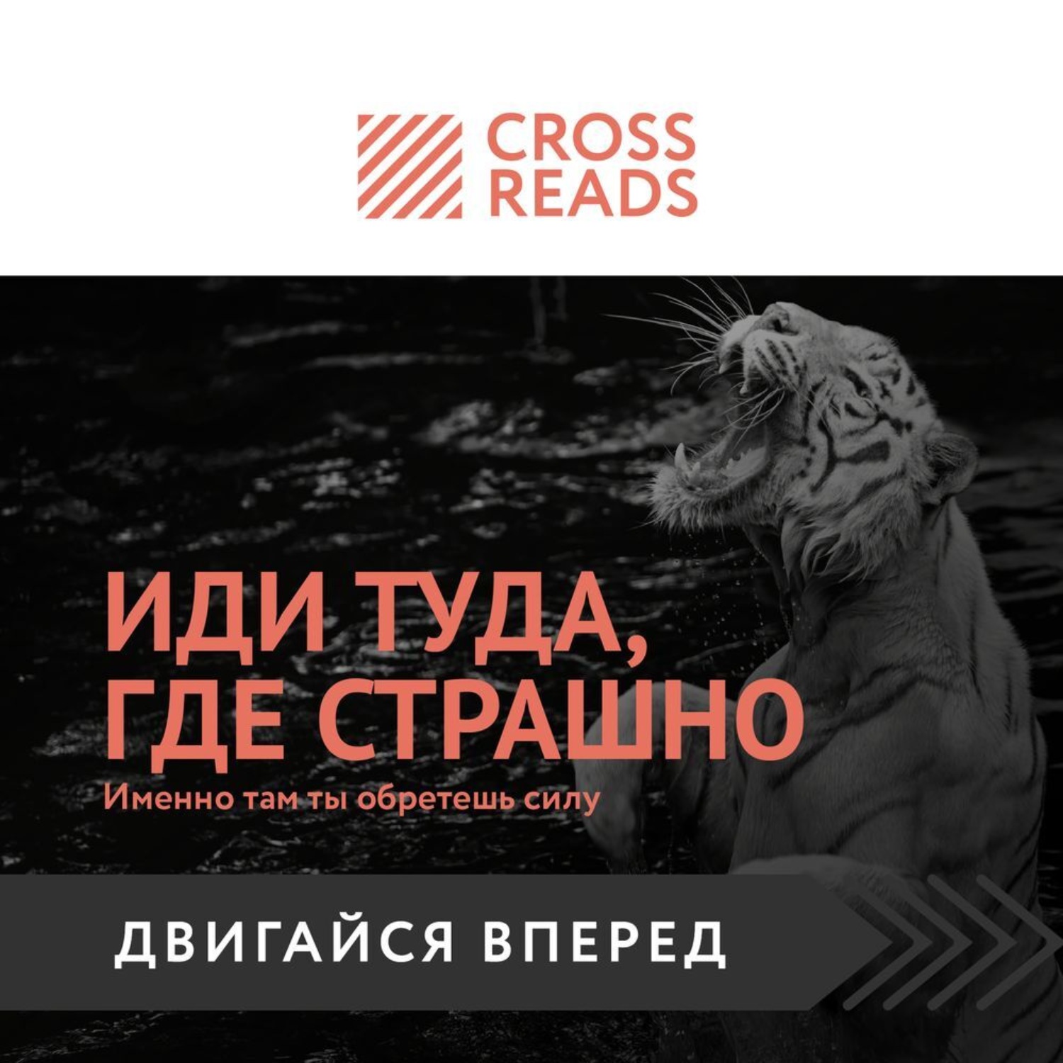 Обложка книги «Саммари книги «Иди туда, где страшно. Именно там ты обретешь силу»»
