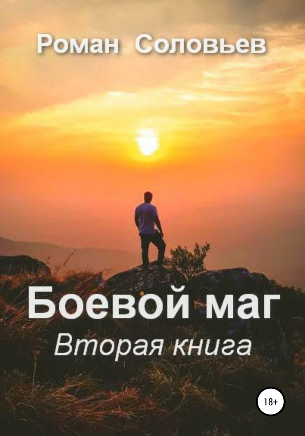 Обложка книги «Боевой маг. Вторая книга»