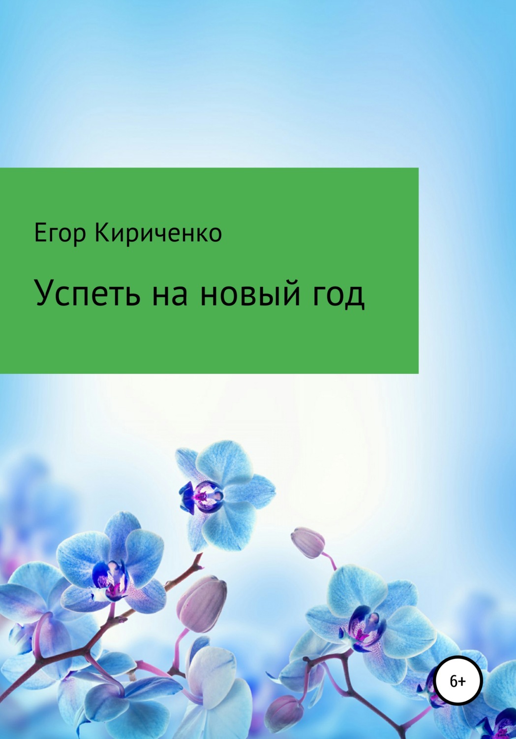 Обложка книги «Успеть на новый год»