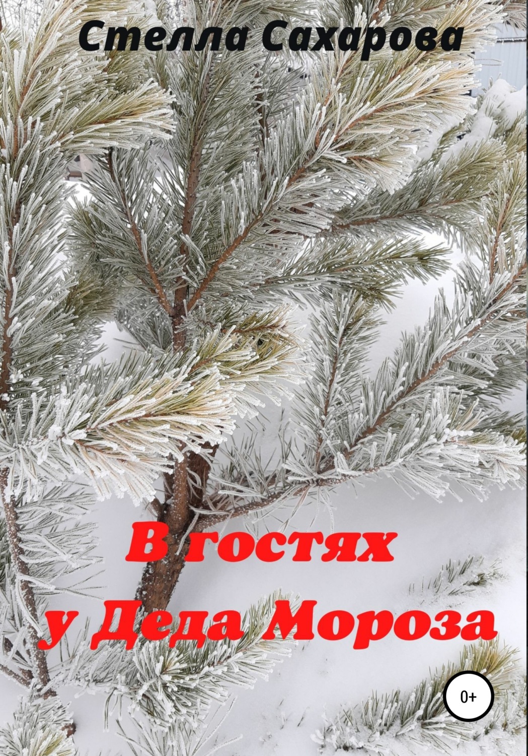 Обложка книги «В гостях у Деда Мороза»