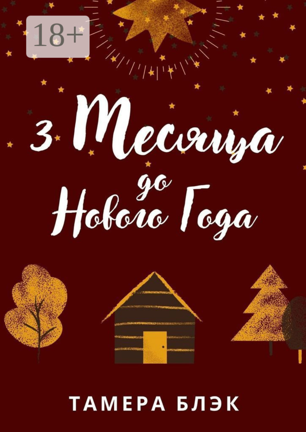 Обложка книги «3 месяца до Нового года»