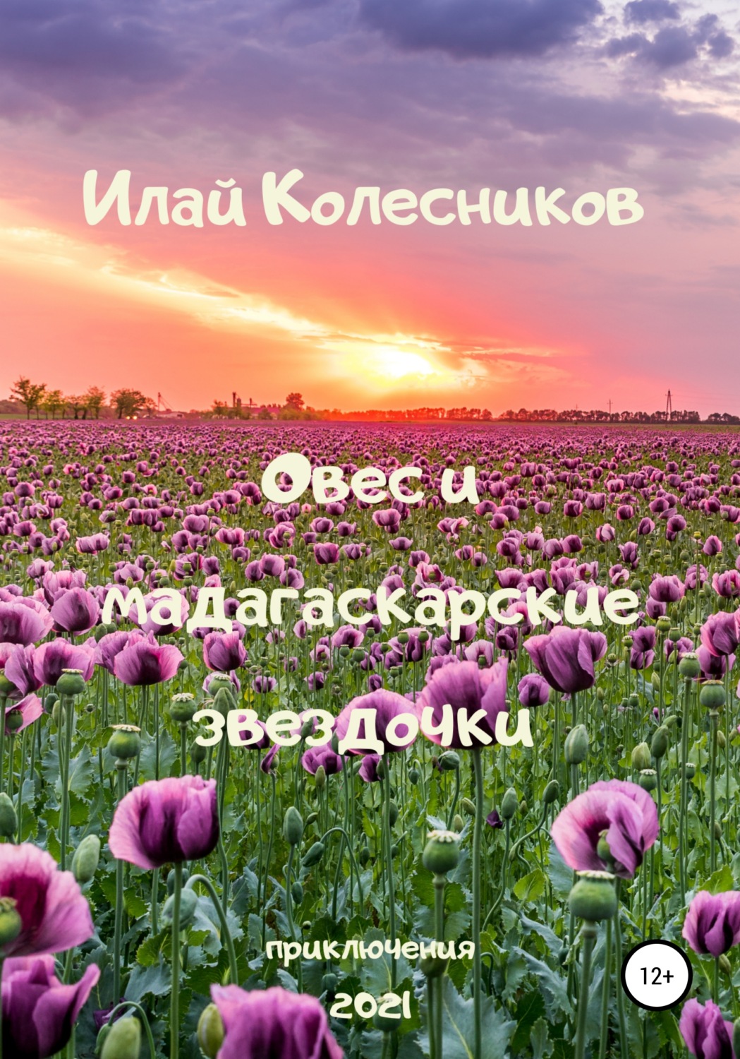Обложка книги «Овес и мадагаскарские звездочки»