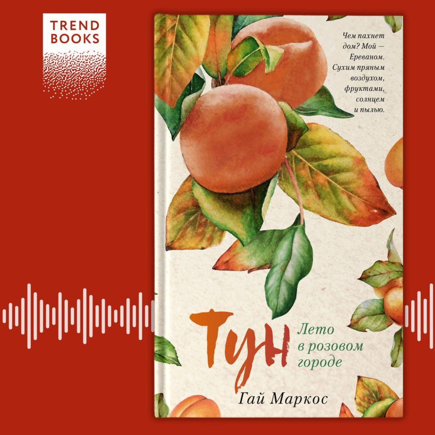 Обложка книги «Тун. Лето в розовом городе»
