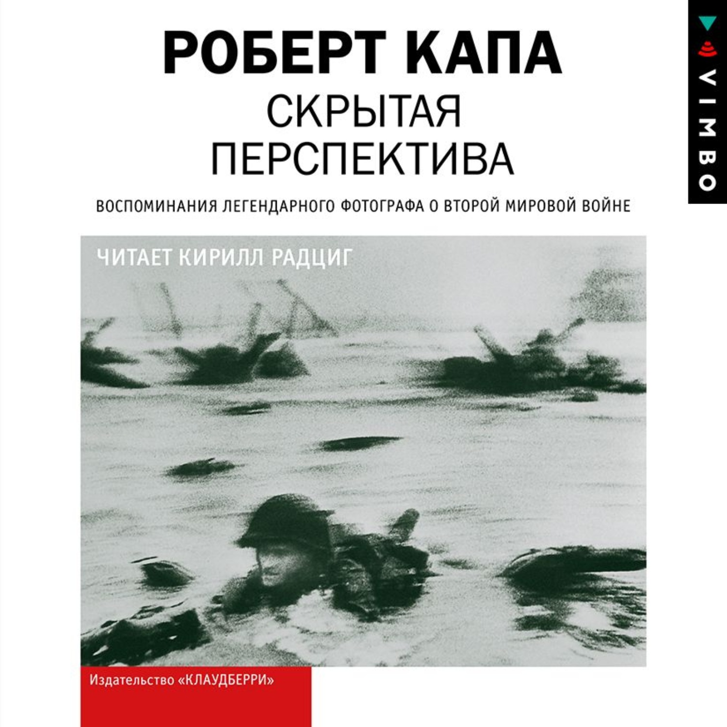 Обложка книги «Скрытая перспектива»