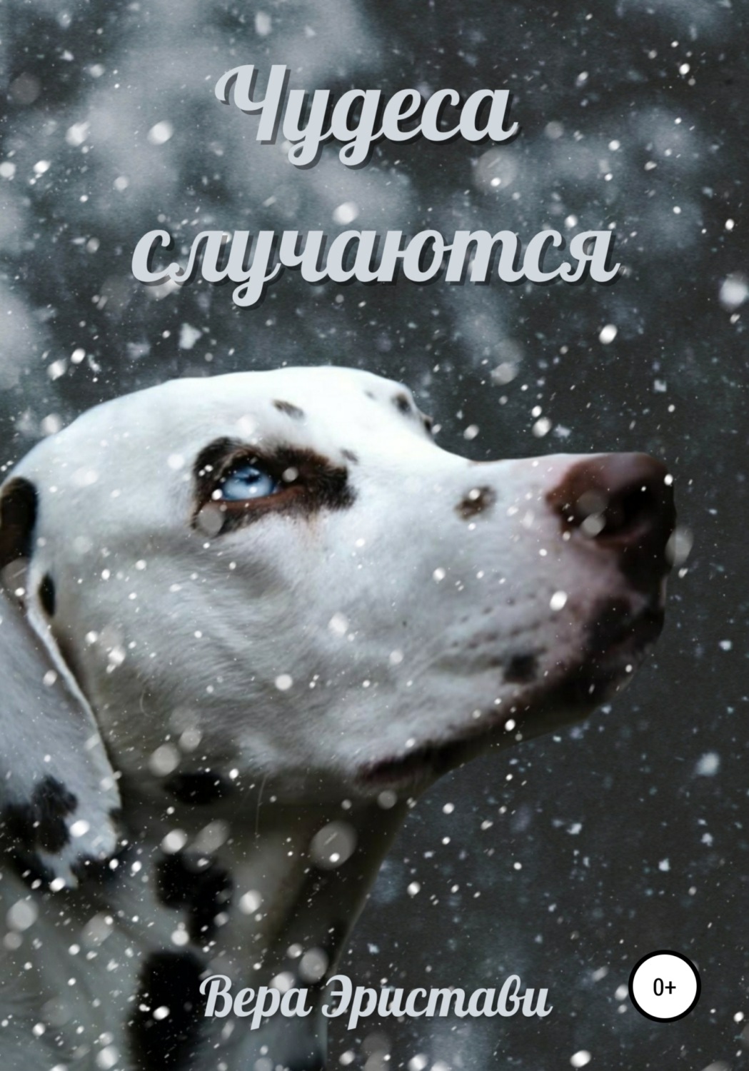 Обложка книги «Чудеса случаются»