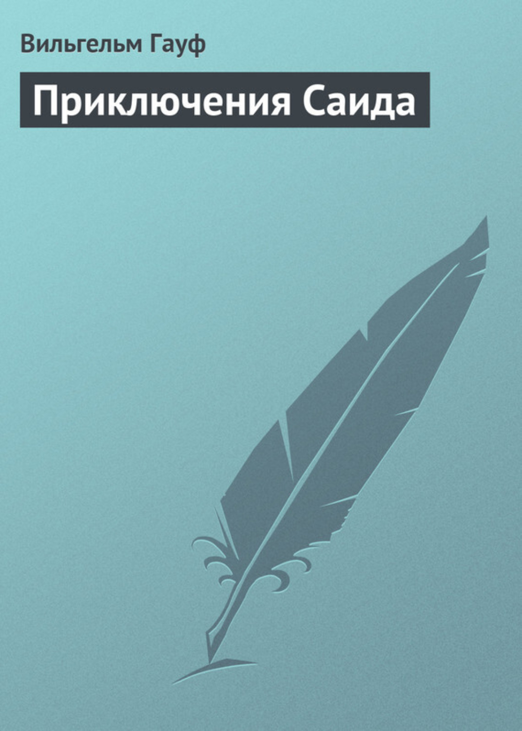 Обложка книги «Приключения Саида»