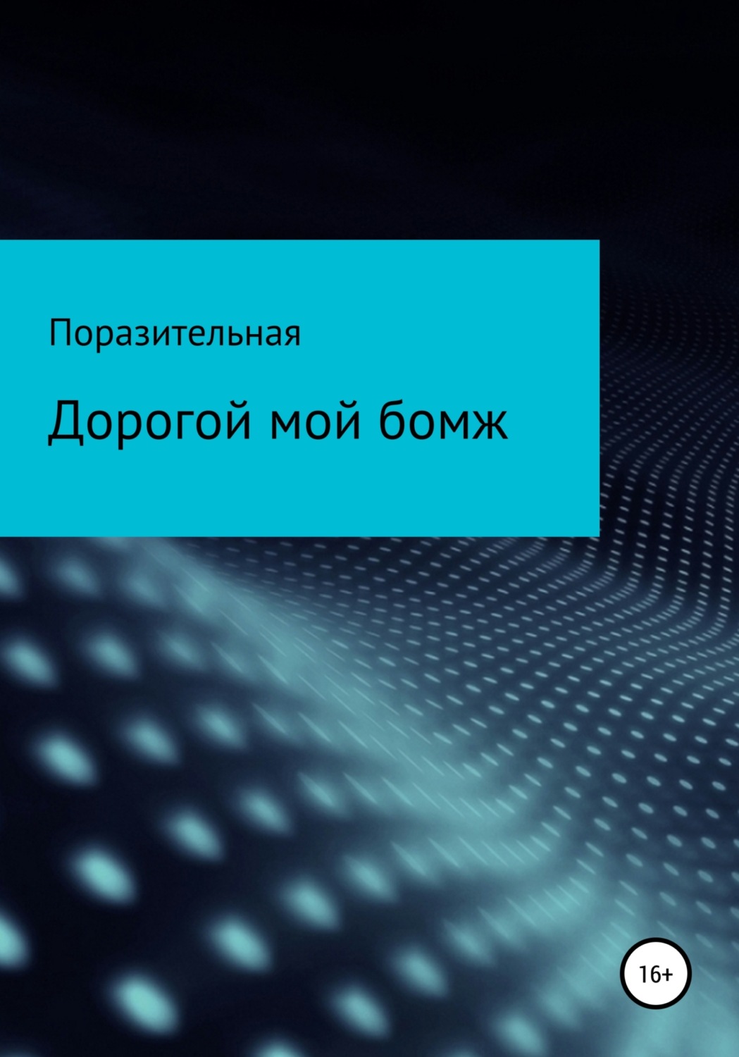 Обложка книги «Дорогой мой бомж»