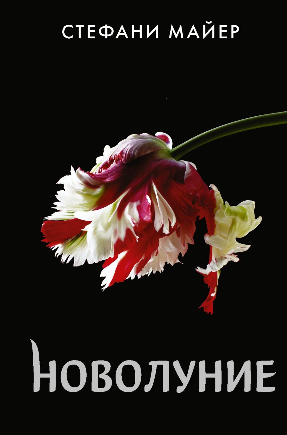Обложка книги «Новолуние»