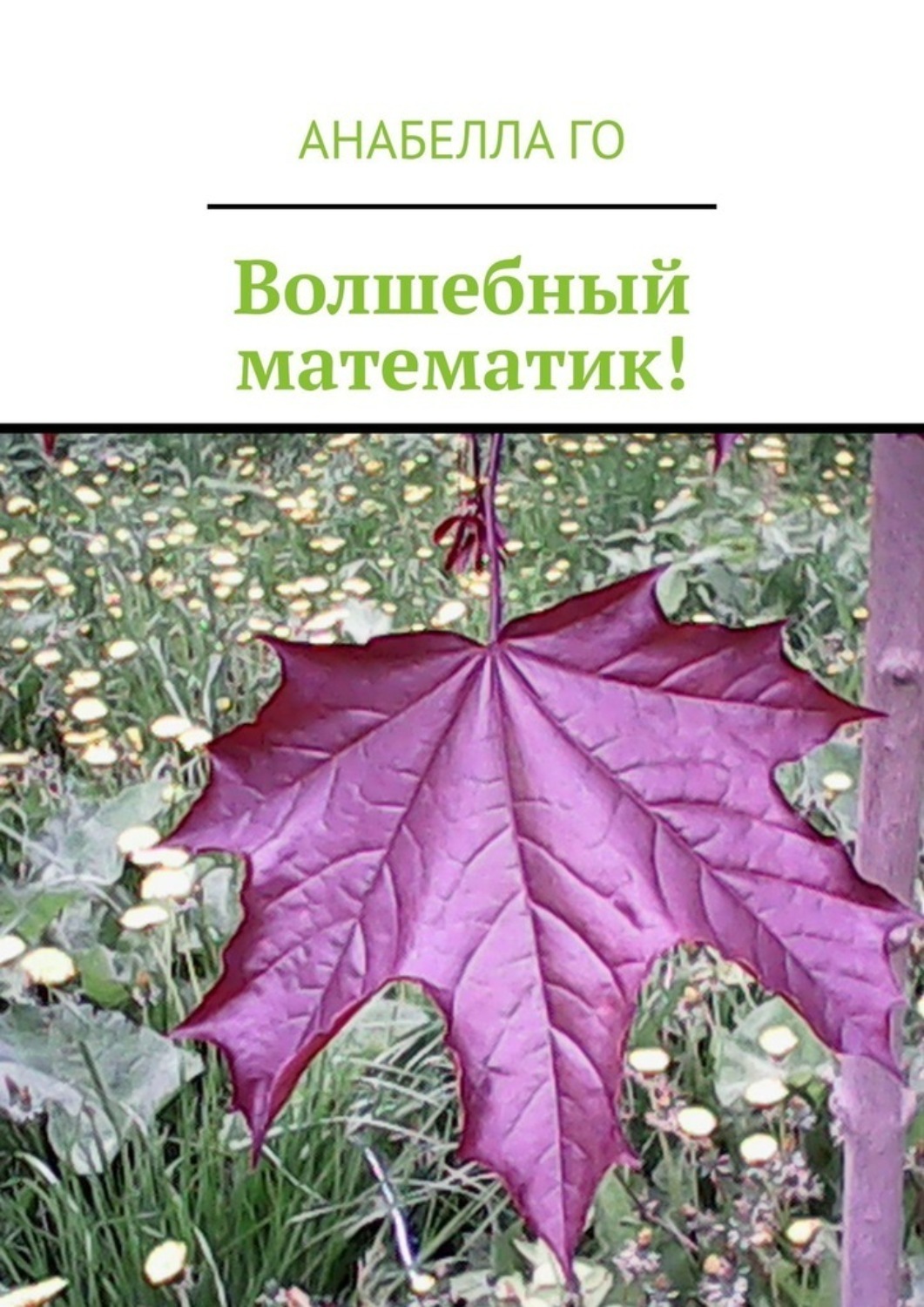 Обложка книги «Волшебный математик!»