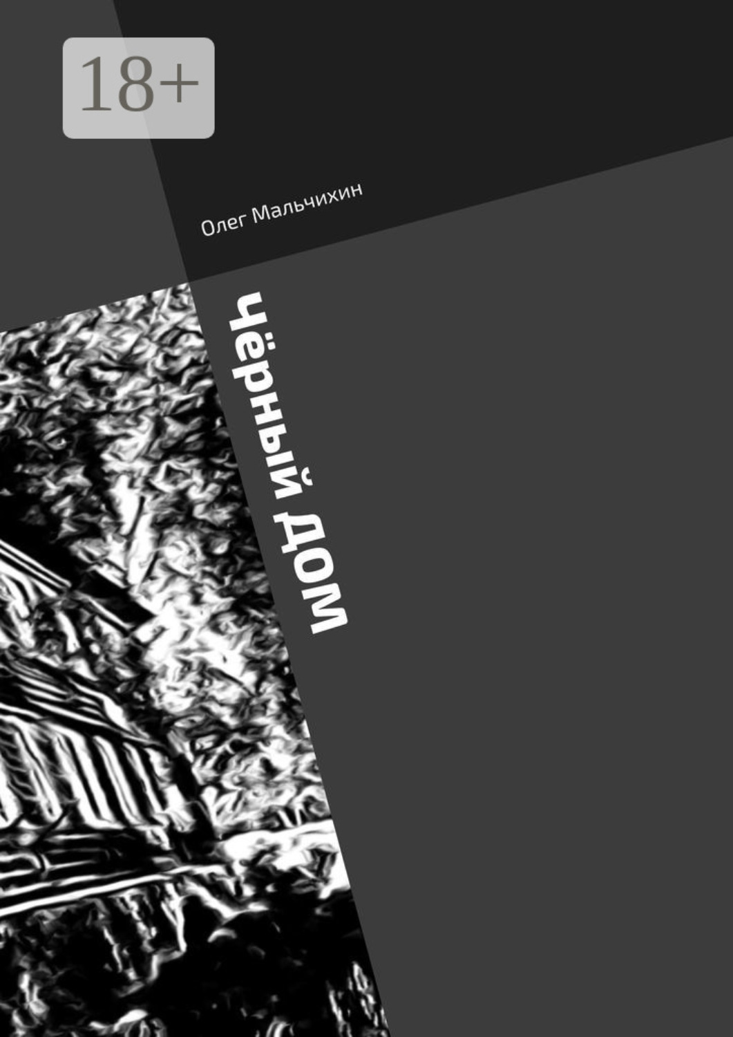 Обложка книги «Чёрный дом»