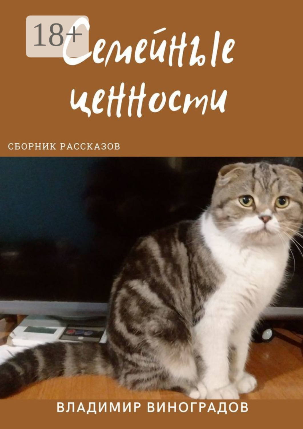 Обложка книги «Семейные ценности»