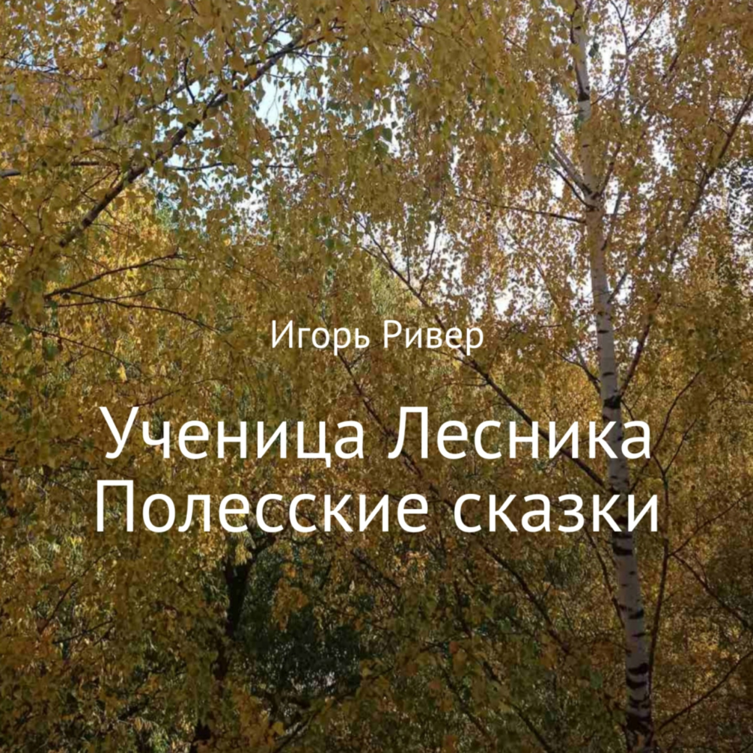 Обложка книги «Ученица Лесника. Полесские сказки»