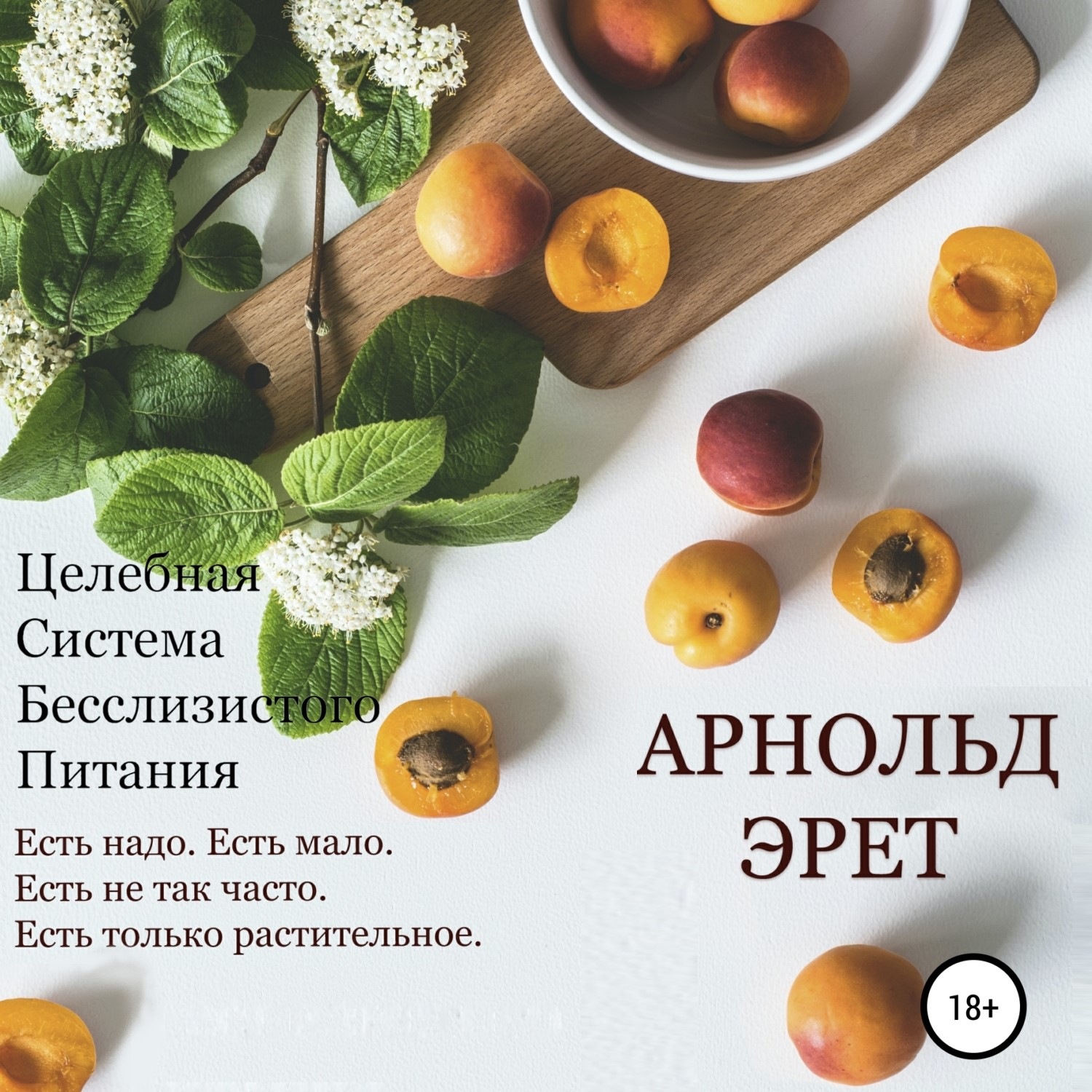 Обложка книги «Целебная Система Бесслизистого Питания»