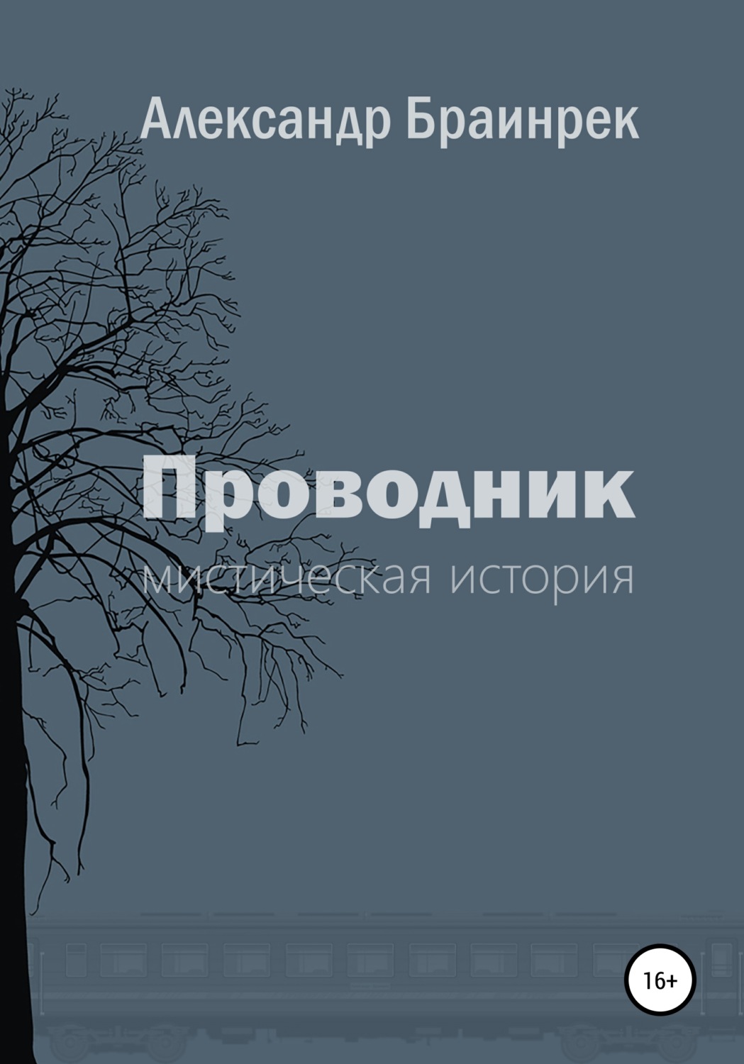 Обложка книги «Проводник»