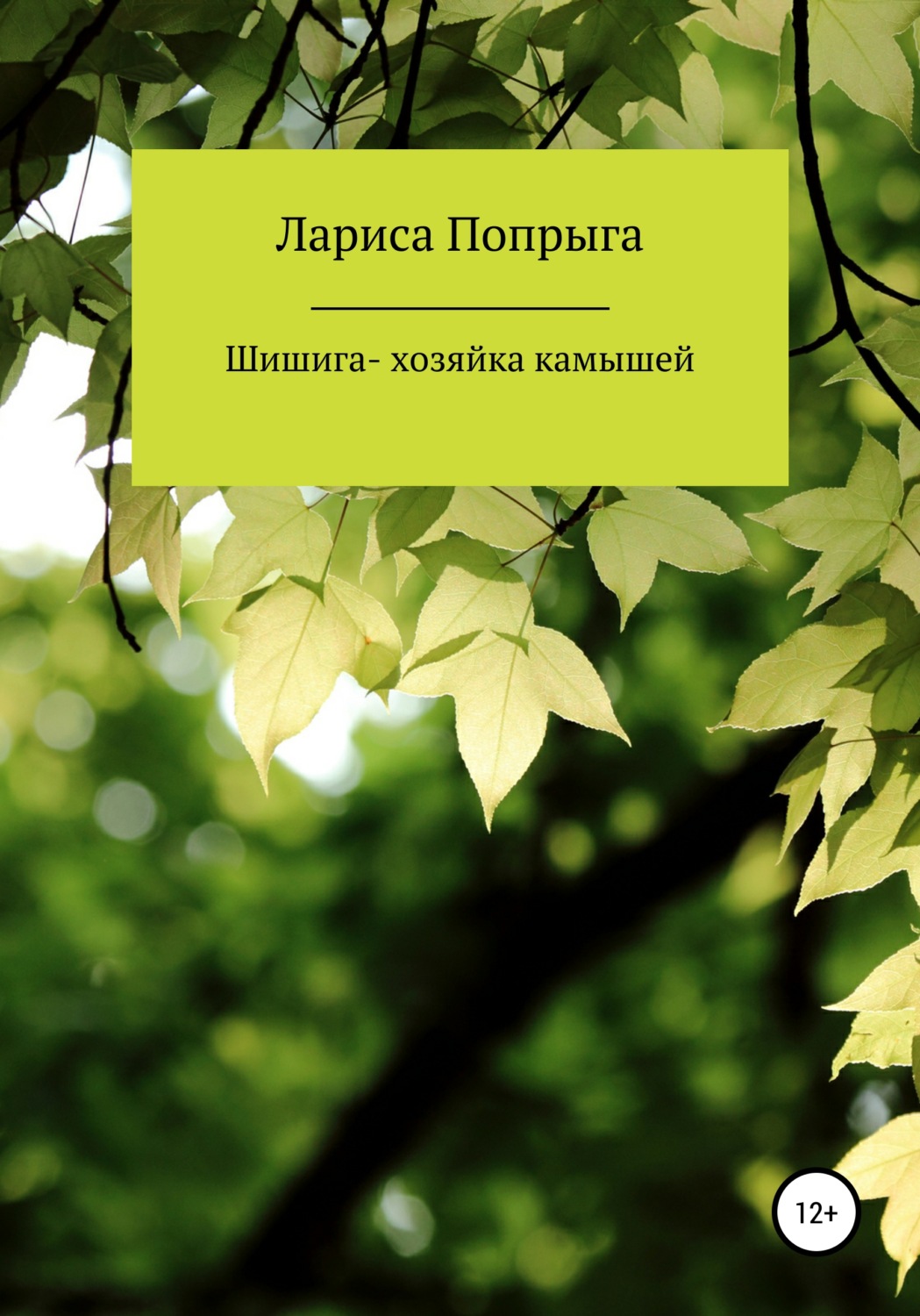 Обложка книги «Шишига – хозяйка камышей»