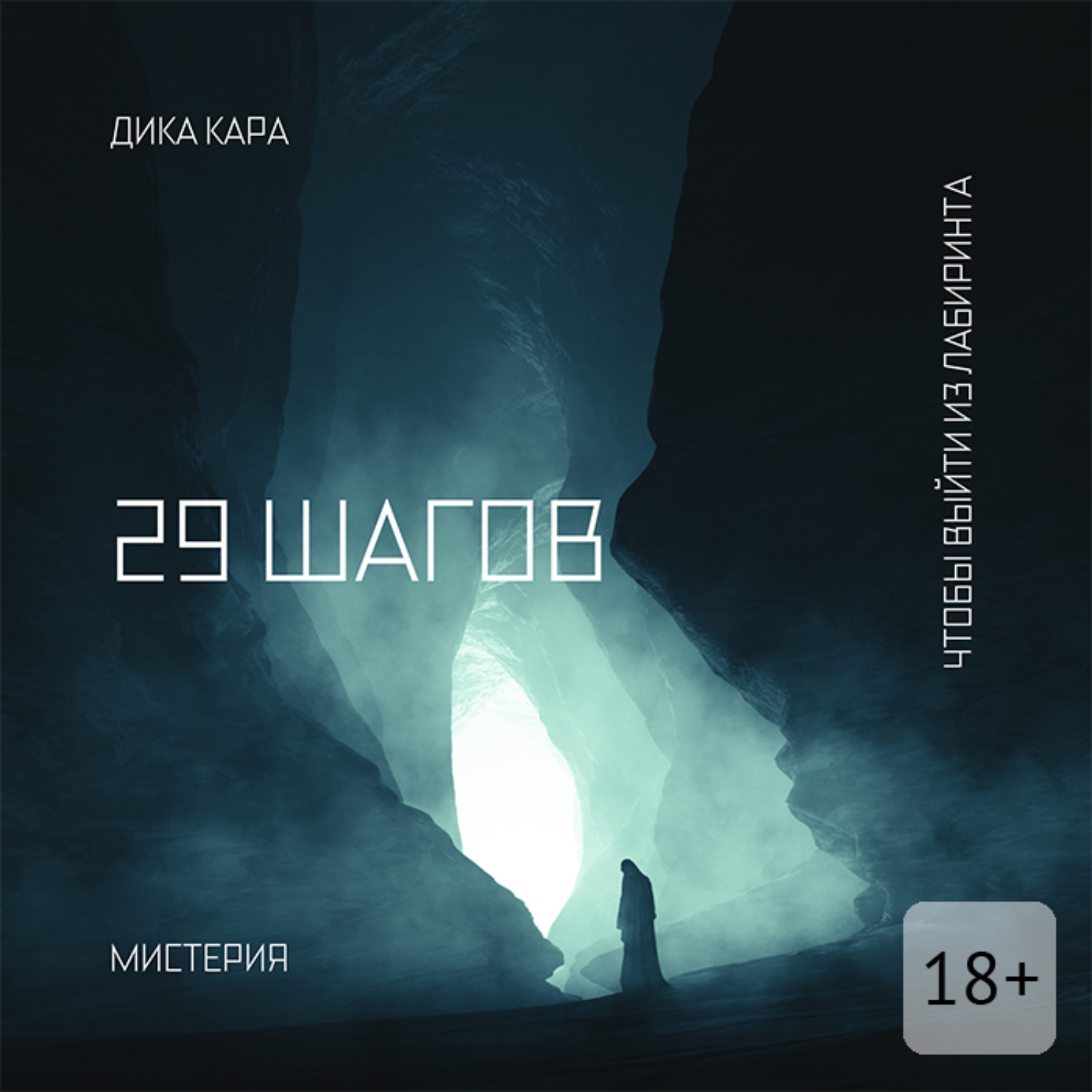 Обложка книги «29 шагов. Чтобы выйти из Лабиринта»