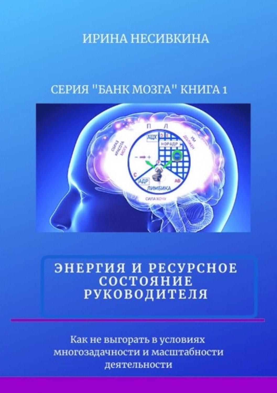 Обложка книги «Серия «БАНК МОЗГА». Книга 1. Энергия и ресурсное состояние руководителя. Как не выгорать в условиях многозадачности и масштабности деятельности»