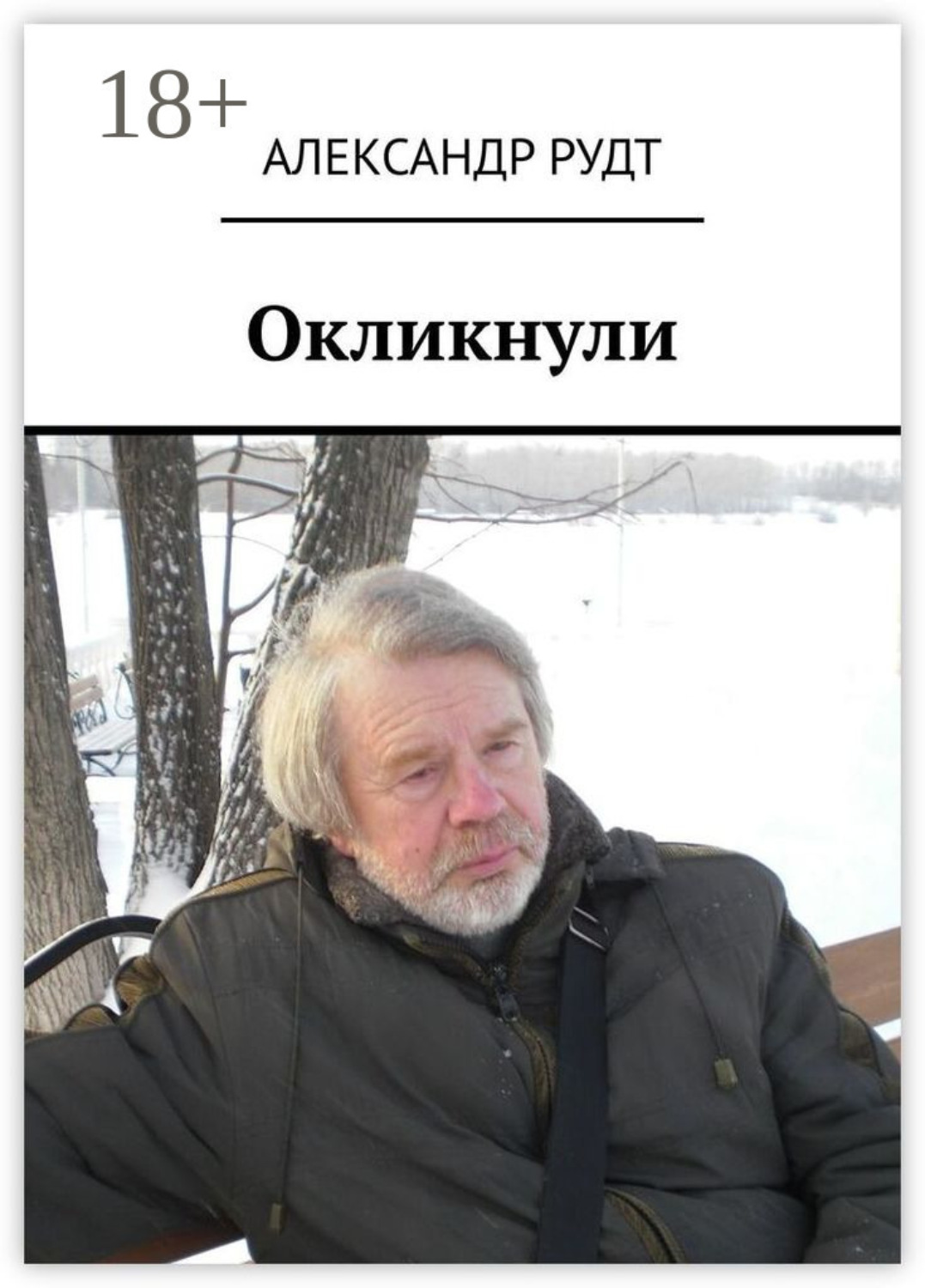 Обложка книги «Окликнули»