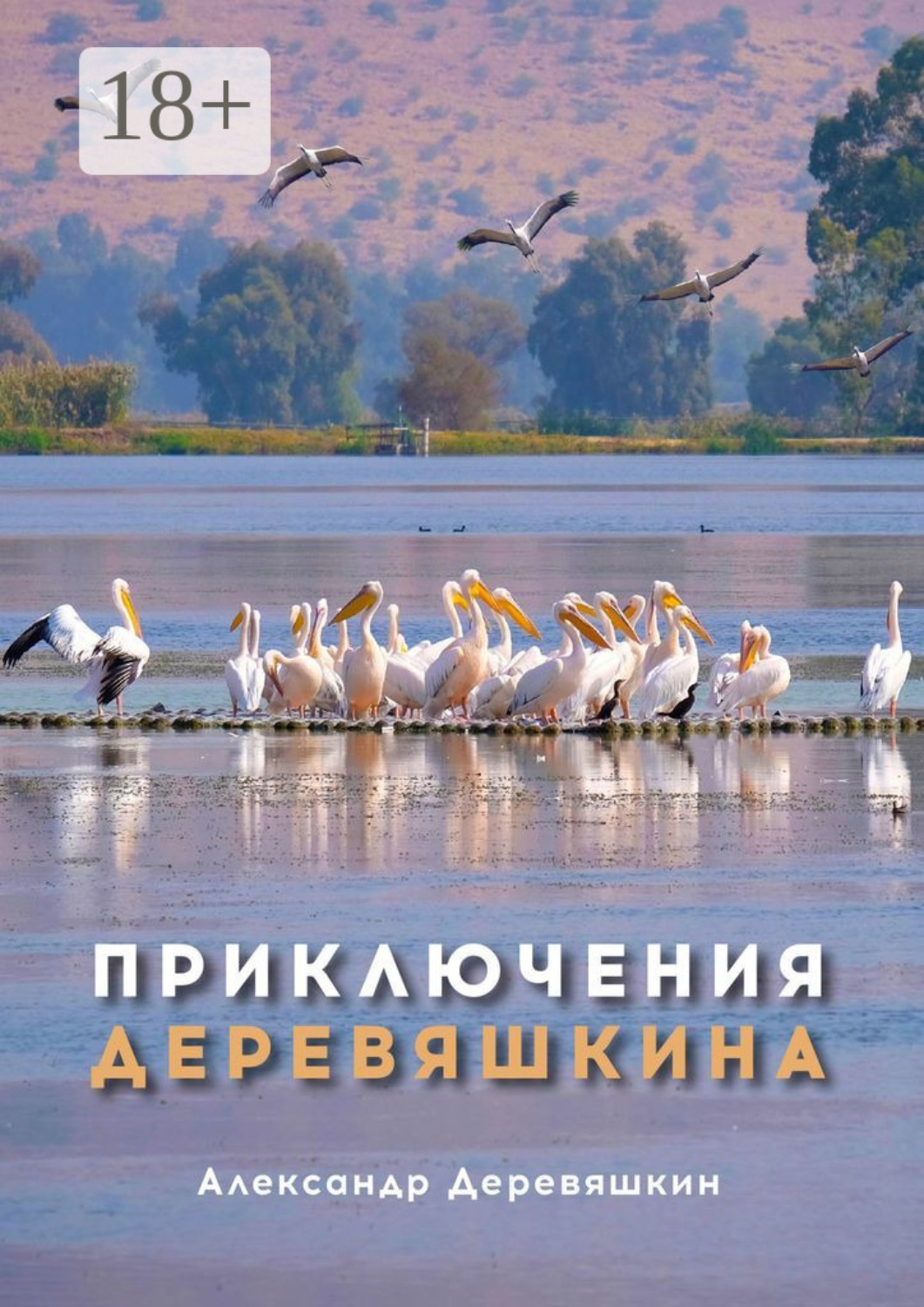 Обложка книги «Приключения Деревяшкина»