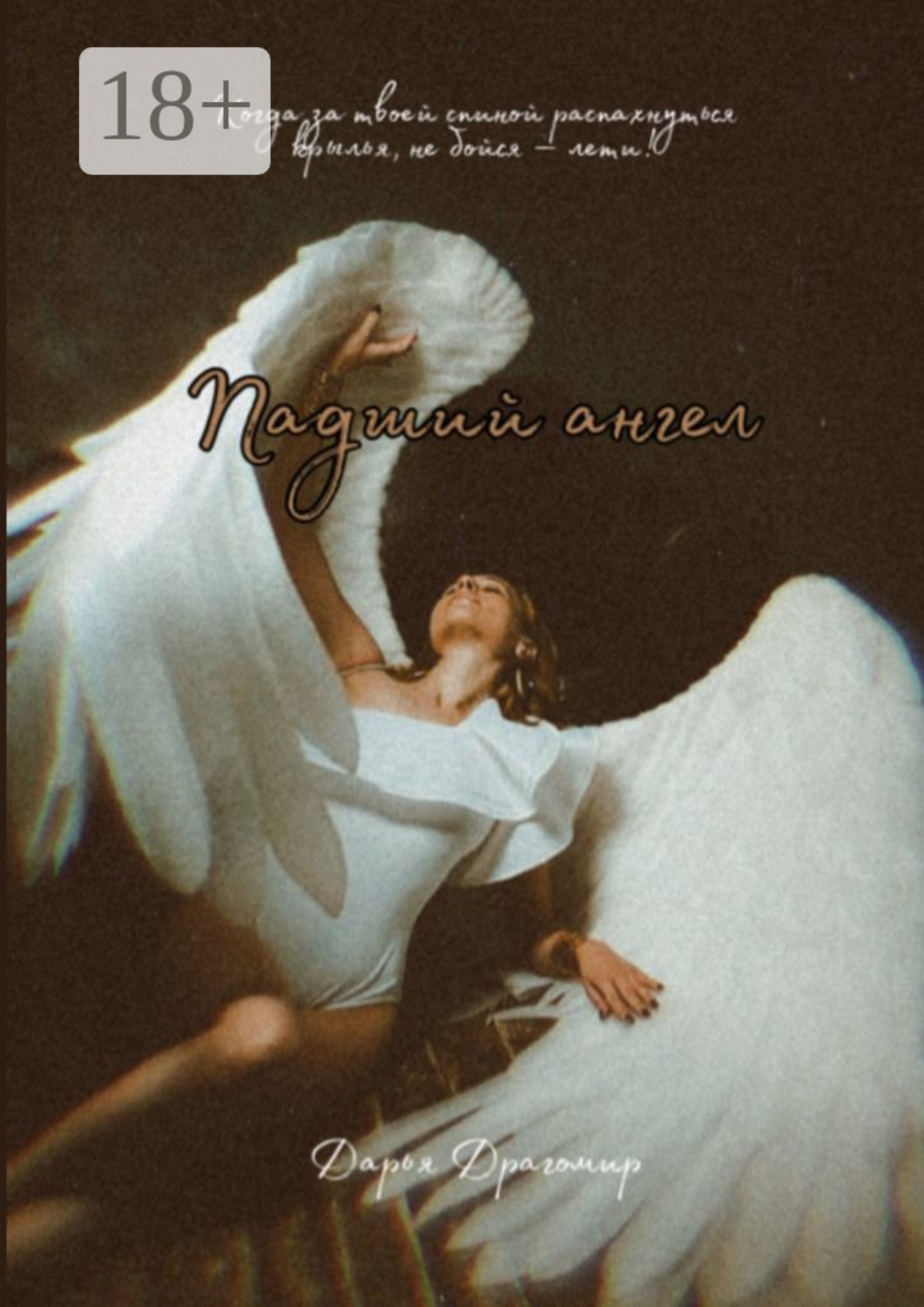 Обложка книги «Падший ангел»