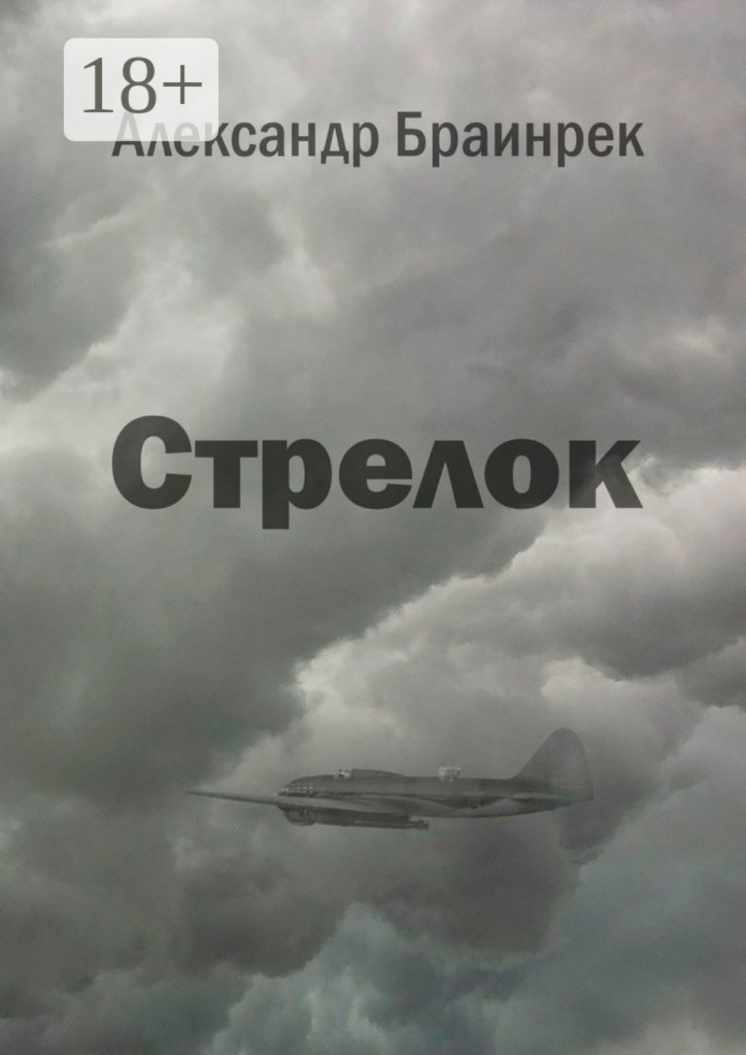 Обложка книги «Стрелок»