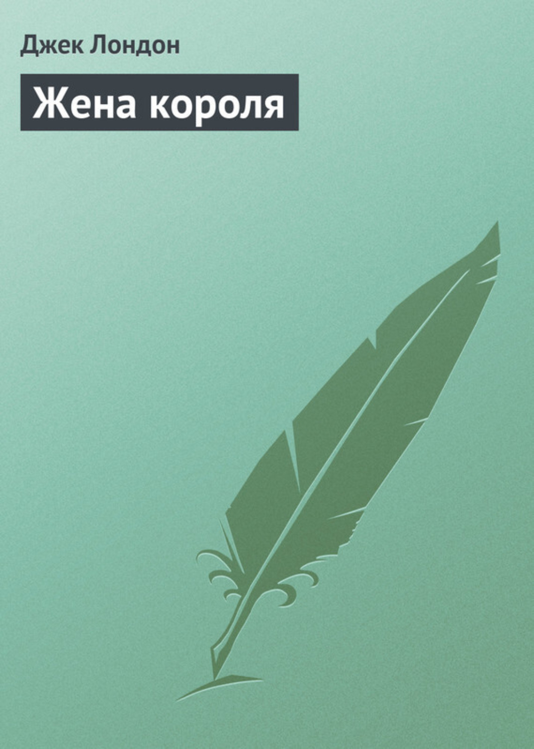 Обложка книги «Жена короля»