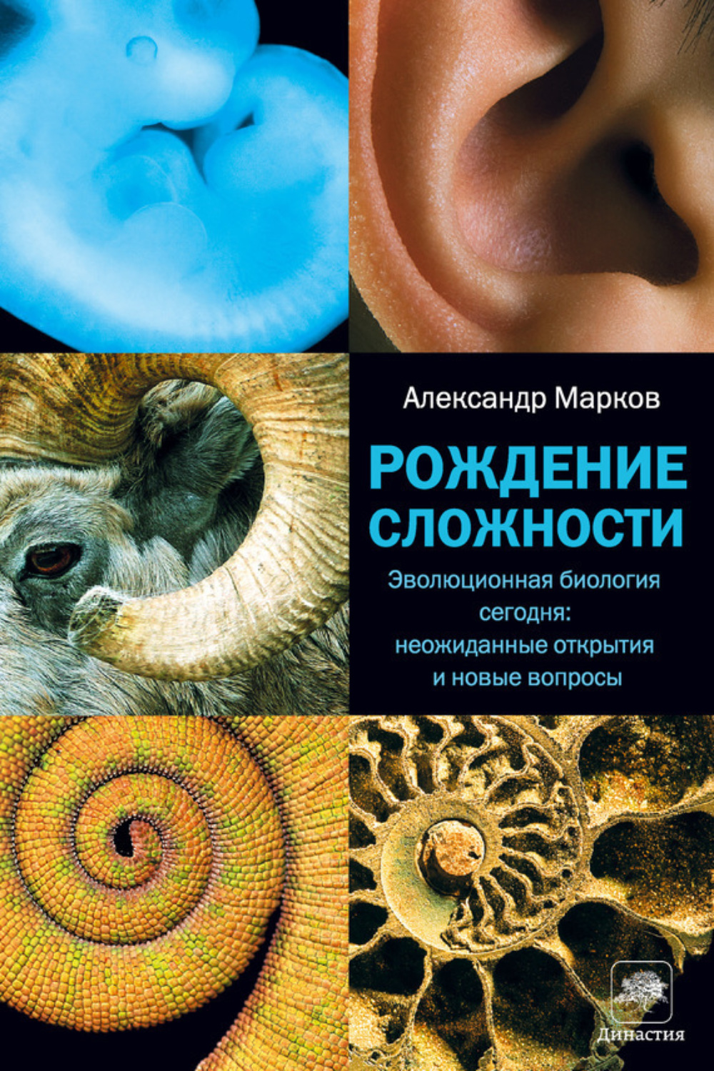 Обложка книги «Рождение сложности. Эволюционная биология сегодня: неожиданные открытия и новые вопросы»