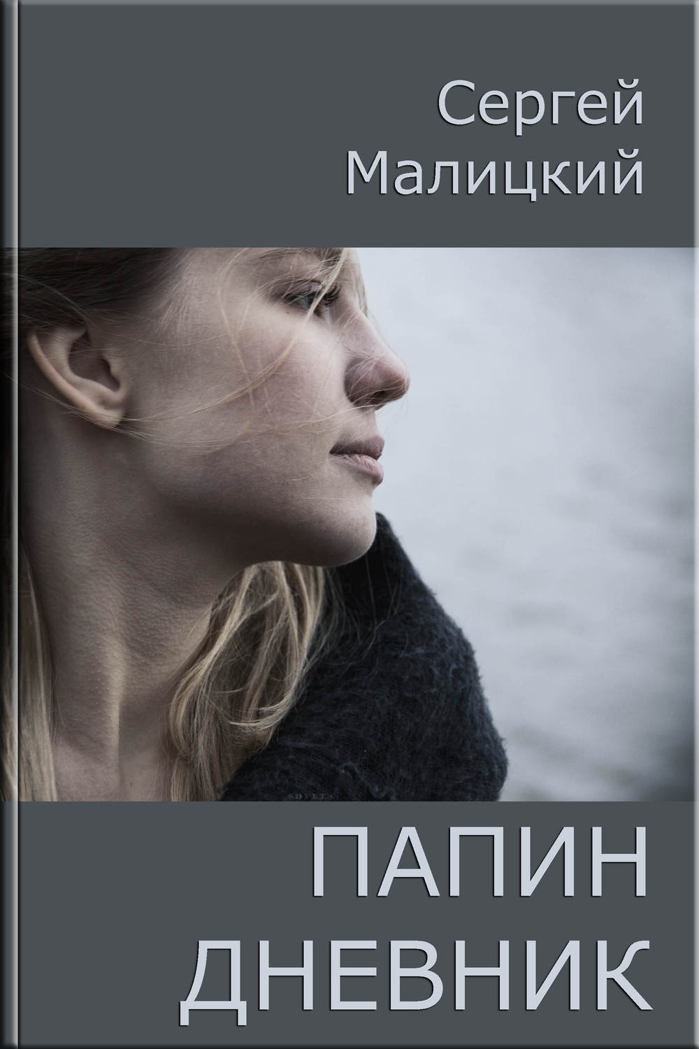 Обложка книги «Папин дневник или От и до: Дневник нерадивого родителя»